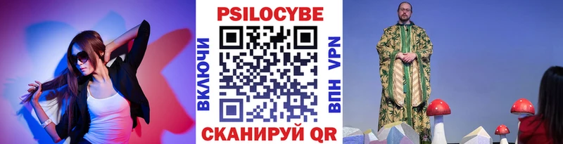 Псилоцибиновые грибы Psilocybine cubensis Елизаветинская